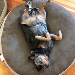 Meet your Posher, Jeni